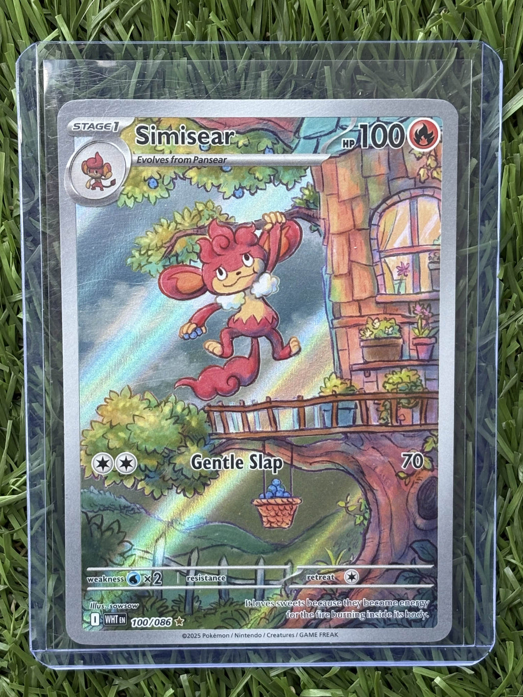 SIMISEAR ILLUSTRATION RARE 100/086