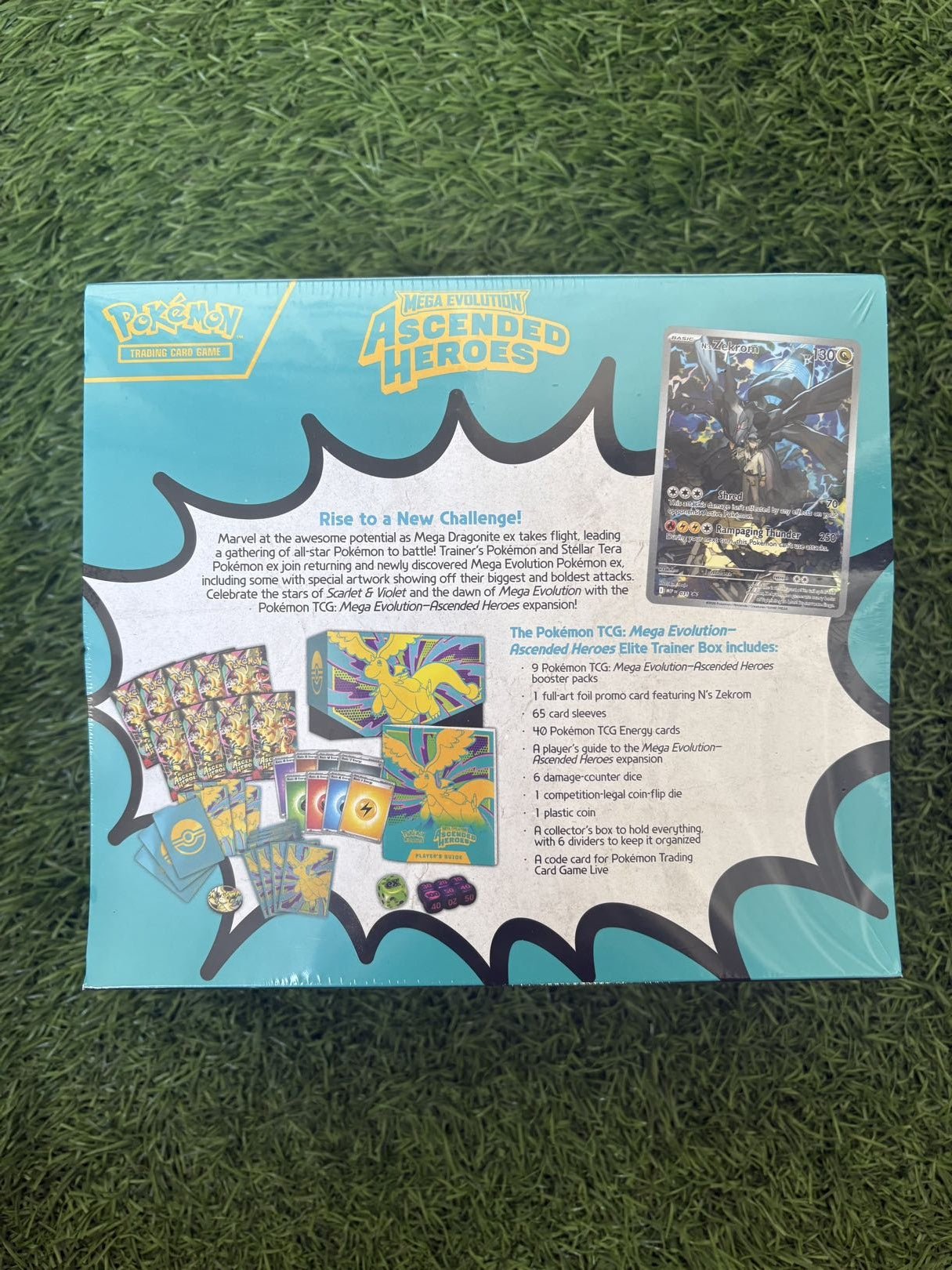 ASCENDED HEROS ELITE TRAINER BOX